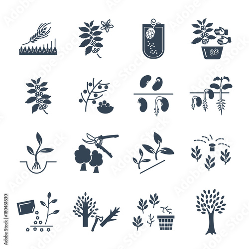 set of black icons plant, herb, grower, coffee, beans, barley