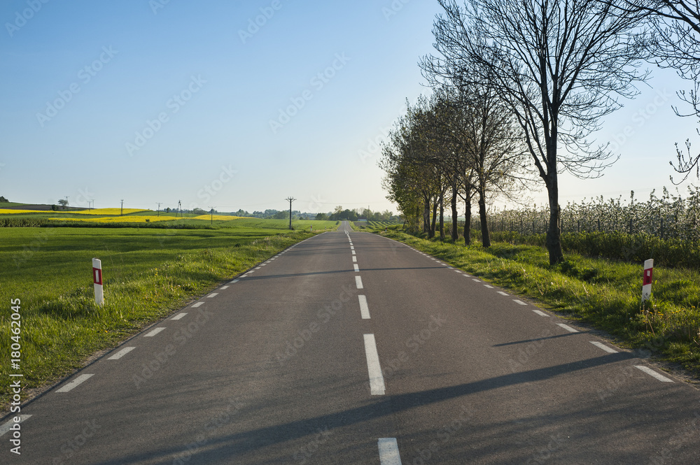 Fototapeta premium Straight road in countryside