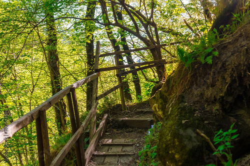 Wooden stairs and thicket in the park Berendeyevo Tsarstvo in sunny summer day, Sochi, Russia photo