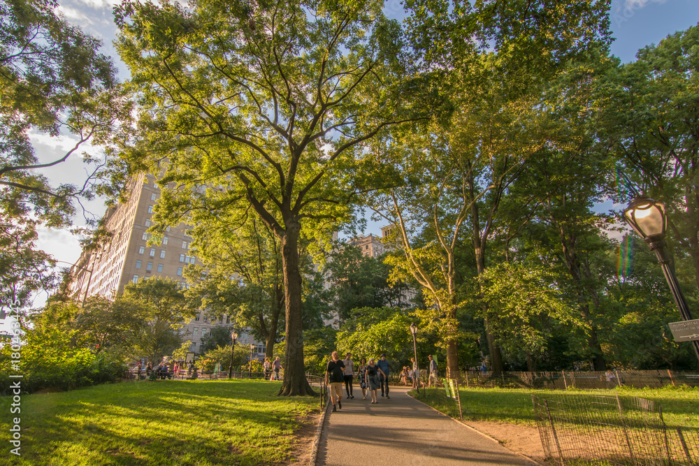 Central Park Central Park