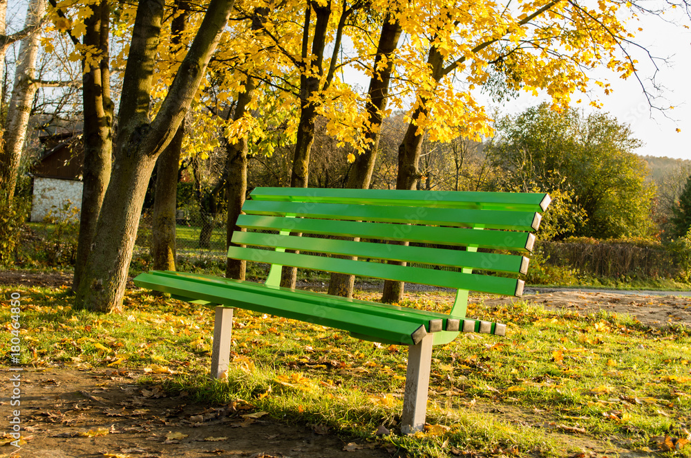 Green modern park bench empty in the park in fall  sunset time