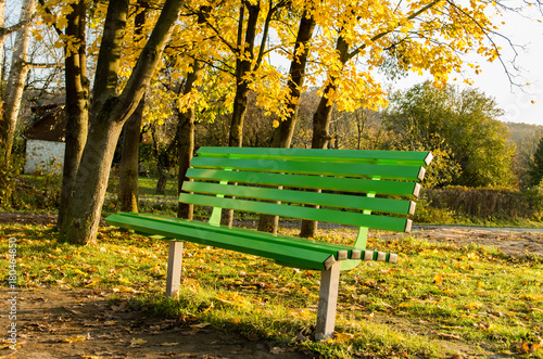 Green modern park bench empty in the park in fall sunset time