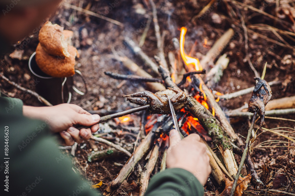 quail on the stick grilled in the fire. delicious forest picnic. bushcraft concept