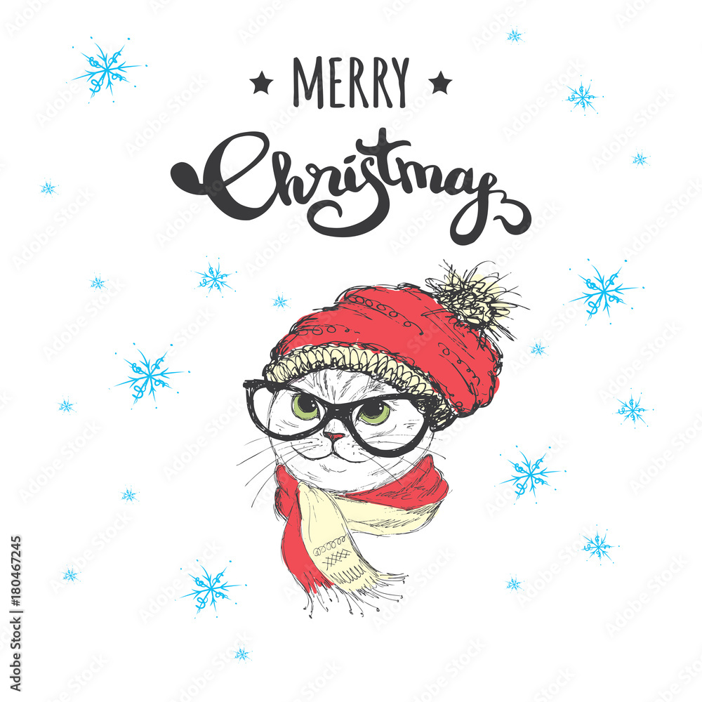 Cute Merry Christmas winter card with cat in hat and scarf, Cute Merry Christmas winter card with cat in hat and scarf,