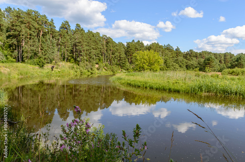 Fototapeta Naklejka Na Ścianę i Meble -  scenic wetlands with country lake or river in summer
