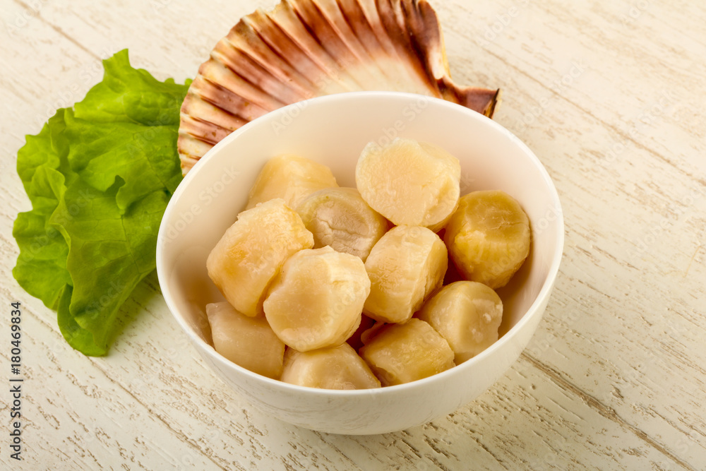 Raw scallops heap Raw scallops heap