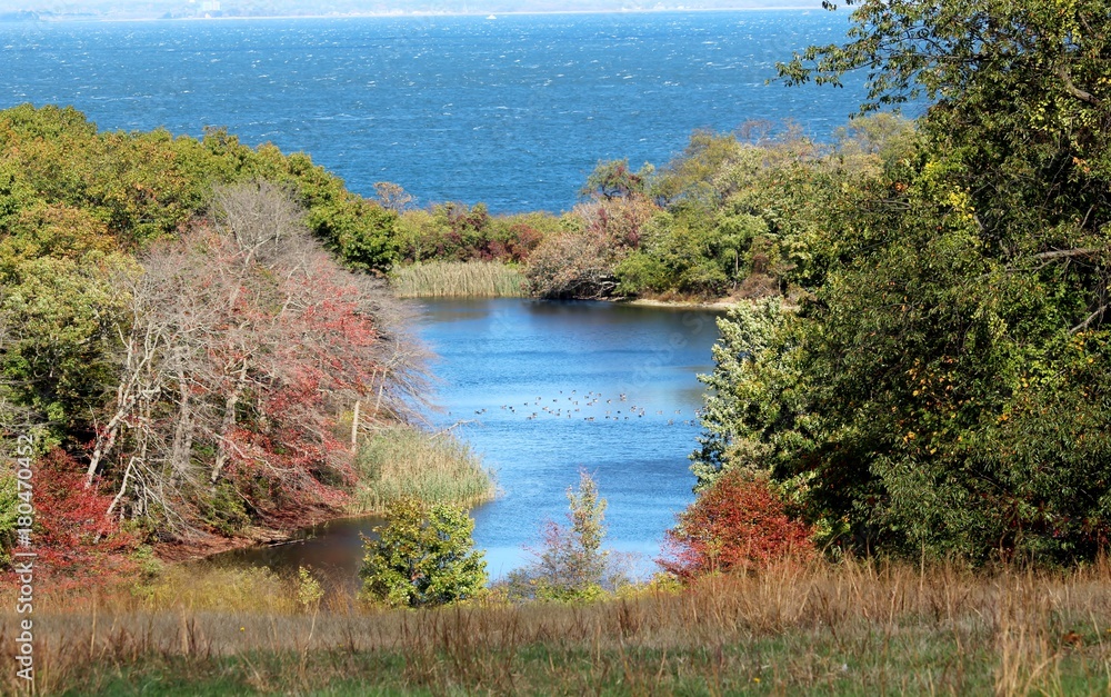 Autumn colors around the lake