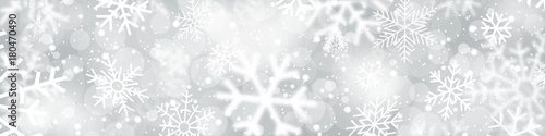 Snowfall banner photo