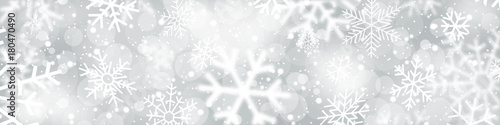 Snowfall banner