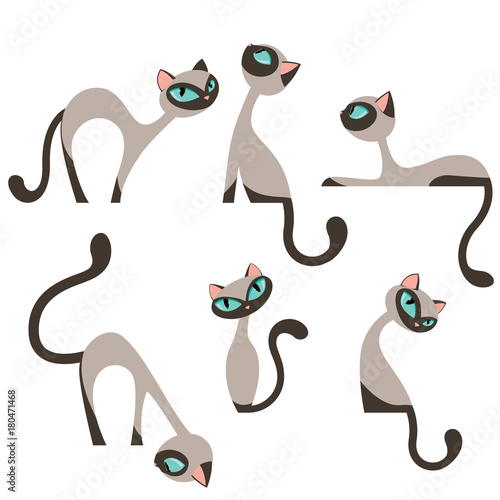 Obraz na płótnie Siamese elegant cats design set