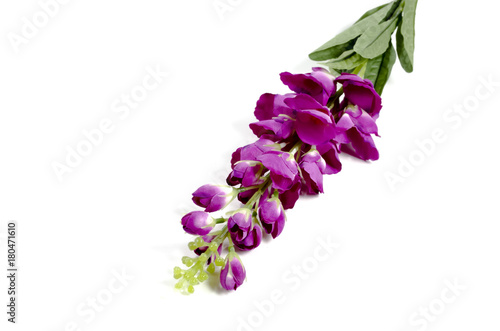 Artificial flowers for design and home decoration - bell-flower isolated on white background 