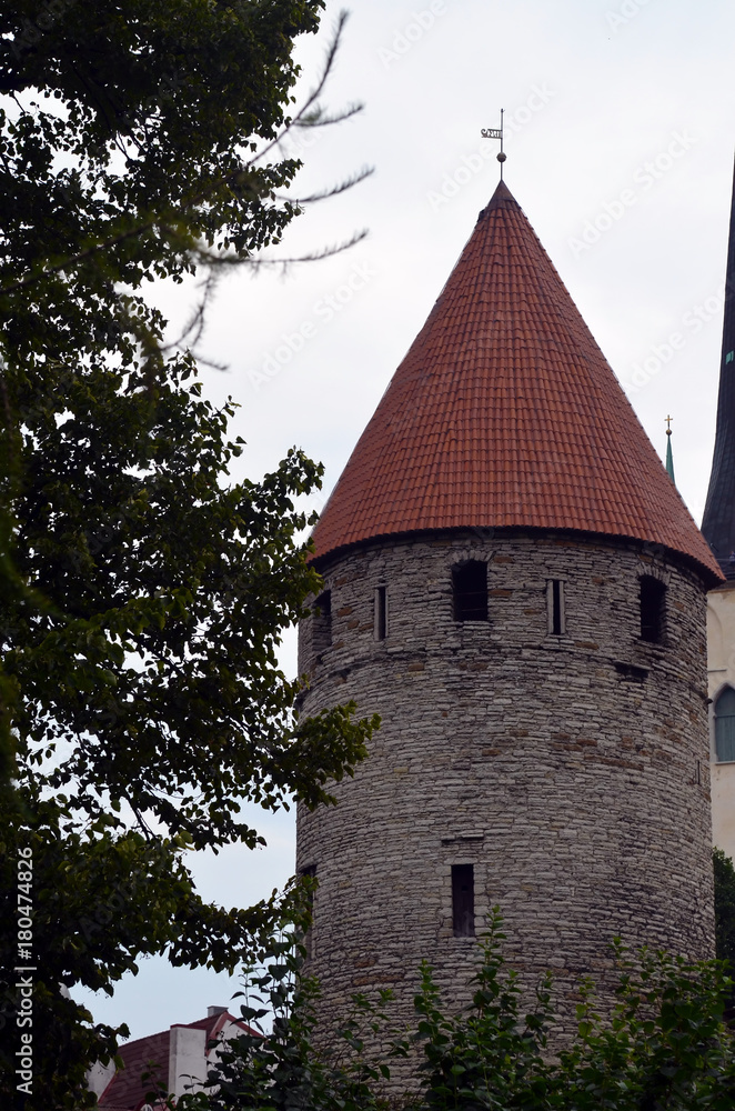 Fototapeta premium Grey tower with red roof in Tallinn, Estonia