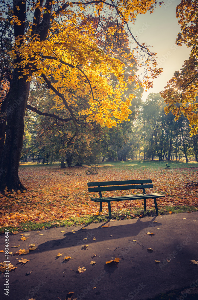 Colorful autumn park on sunny morning in Krakow, Poland