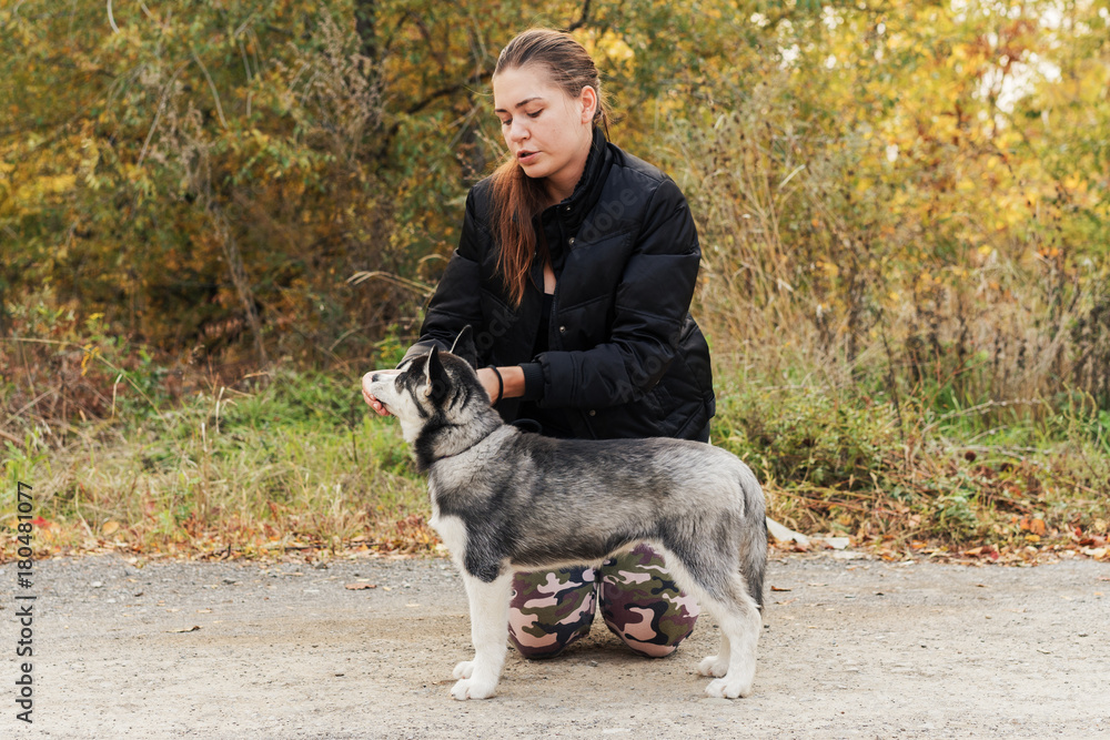 woman gives a command to her dog (puppy) Siberian Husky in the autumn park. Dog training. woman gives a command to her dog (puppy) Siberian Husky in the autumn park. Dog training.