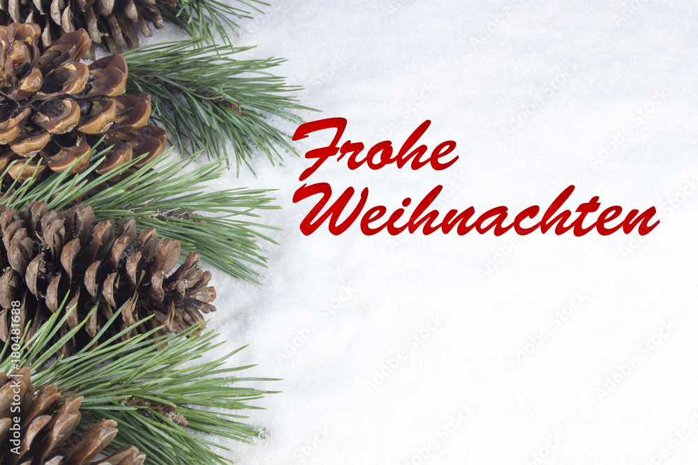 Group of pine trees and some branches with text in German Group of pine trees and some branches with text in German