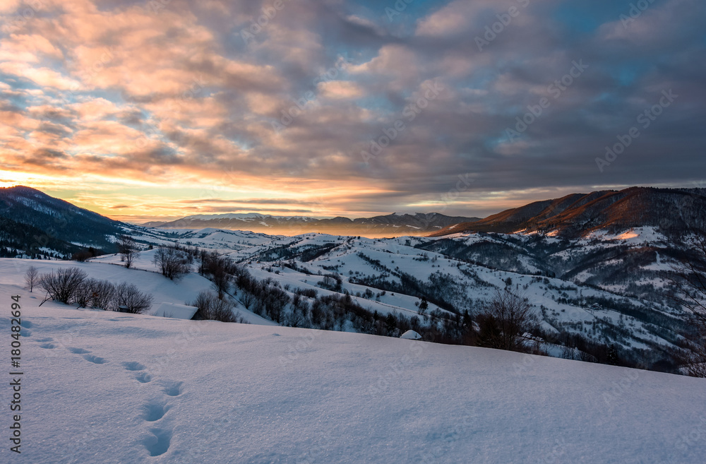 snowy slopes in mountains at sunrise. beautiful landscape in Carpathian mountains