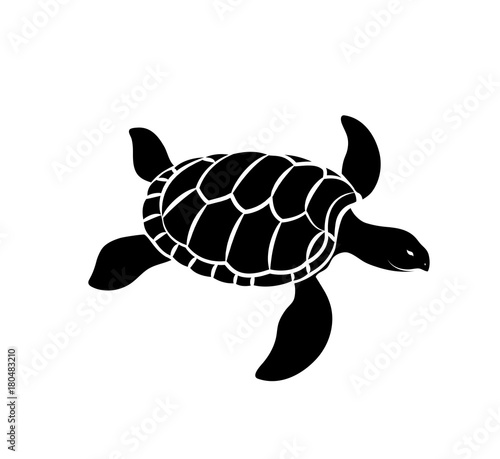 Turtle Silhouette Vector