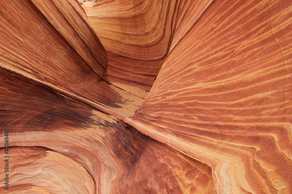 Obraz premium USA Arizona Coyote South Butte The Wave