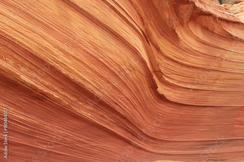 USA Arizona Coyote South Butte The Wave