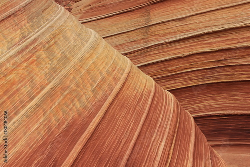 USA Arizona Coyote South Butte The Wave