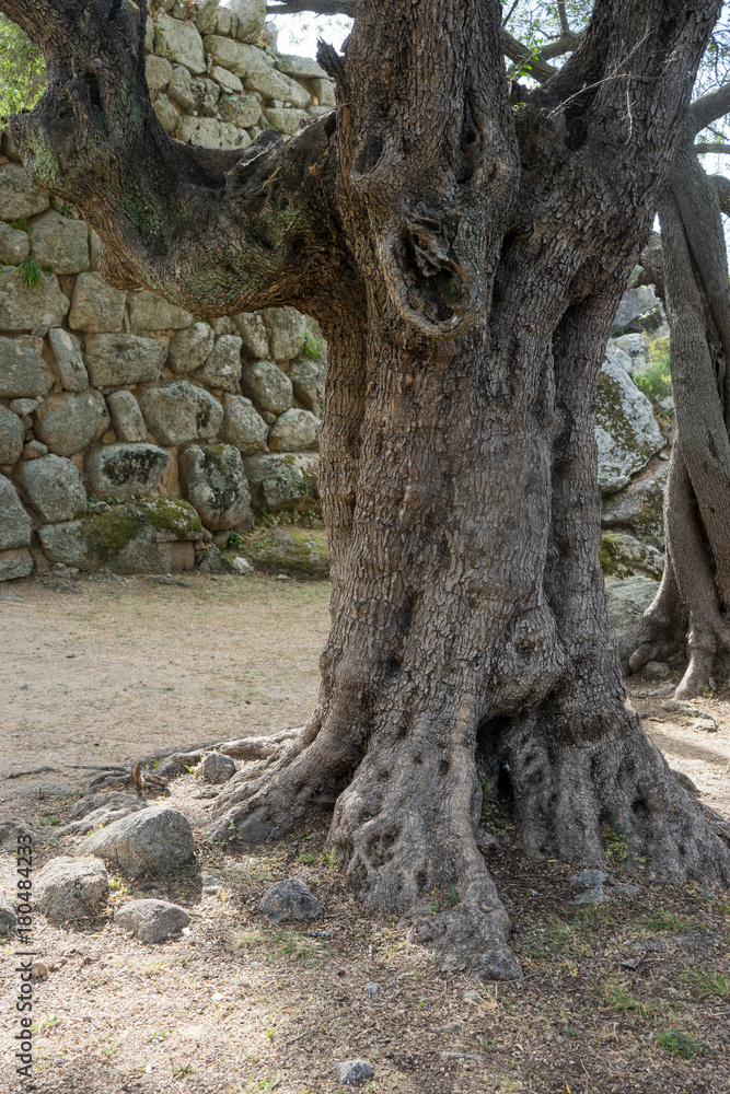 Nuraghe Albucciu bei Arzachena, Sardinien Nuraghe Albucciu bei Arzachena, Sardinien