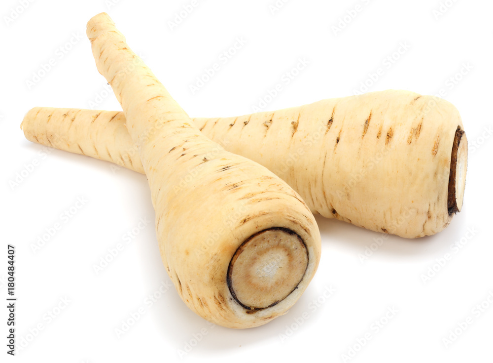 Parsnip isolated on the white background close up Parsnip isolated on the white background close up