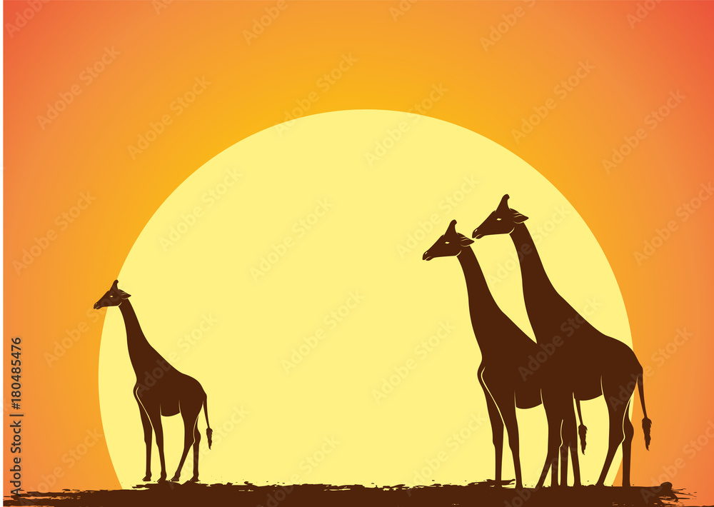 Fototapeta premium Wild Giraffe Silhouettes in Sunset Vector