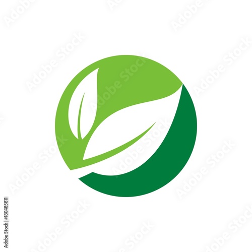 Leaf logo, leaf human figure logo design template vector