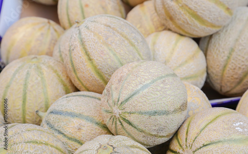 Melons from Cavillon, France.