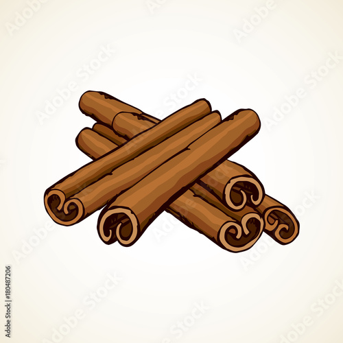 Cinnamon. Vector drawing