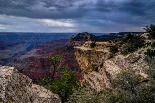 View across Grand Canyon North Rim Arizona