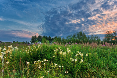 Sunset in summer field