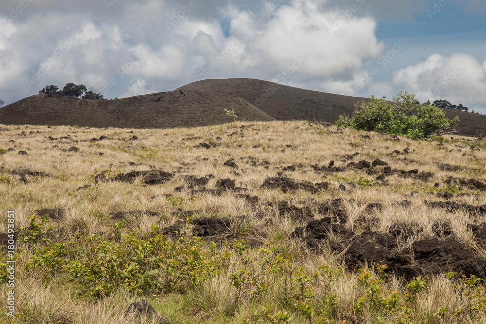 Fototapeta premium Easter Island