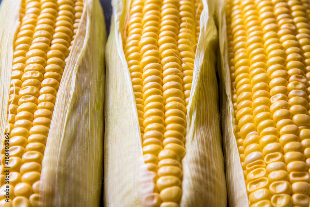 Macro view of three corn cobs. Nice macro background of healthy food Macro view of three corn cobs. Nice macro background of healthy food