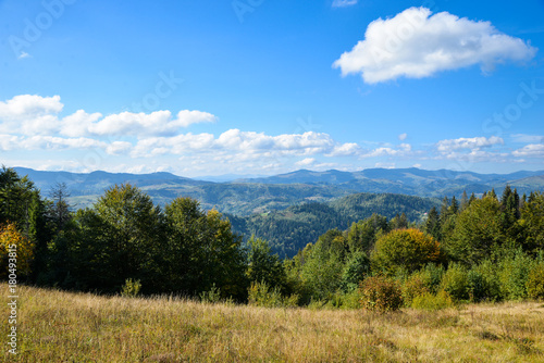 Beautiful and panoramic view of Carpathian mountains in summer season, with little wooden houses. Sunny weather, blue sky, high mountains and green forest on background. © Yuliia
