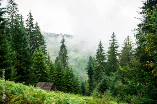 Beautiful and panoramic view of Carpathian mountains in summer season, with little wooden houses. Sunny weather, blue sky, high mountains and green forest on background. photo