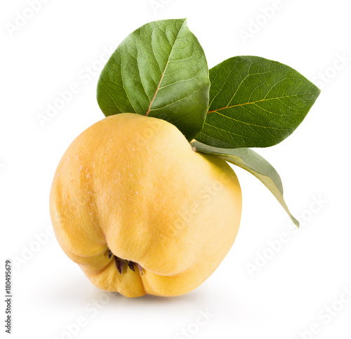 Papier peint quince isolated on a white background