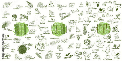Fruits, vegetables and superfoods collection. Hand drawn set of healthy and organic food. Multiset of vegetable and fruits sketches for menu design.