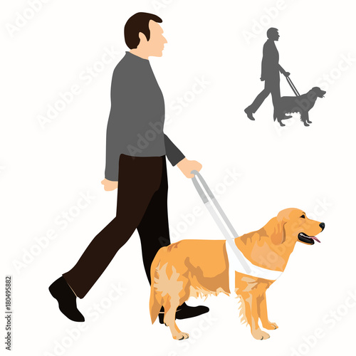 Man holding guide dog on harness and their silhouette. Assistance dog with harness. Golden retriever and blind person isolated on white background. photo