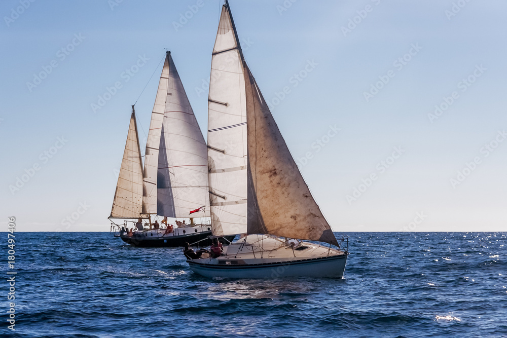 Monohulls sailboats racing