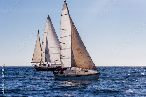 Monohulls sailboats racing