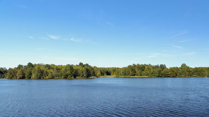 Leinwandbilder See Bäume am blauen See im Spätsommer  © John Wijsman