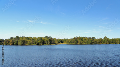 Fototapeta Naklejka Na Ścianę i Meble -  Trees on the shore of a blue lake in late summer