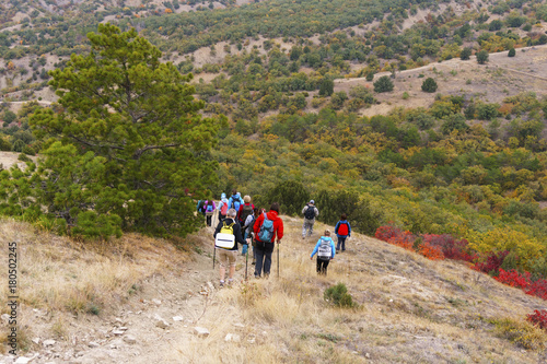 Group of hikers walking on a mountain