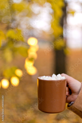 Winter drink: cocoa with marshmallow. Cozy winter morning, New Year's and Christmas holidays