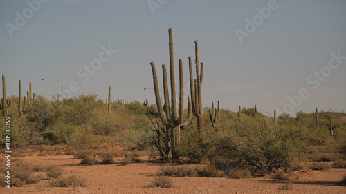 Jack Ass Acres, New River, Ruta 17, Arizona, USA