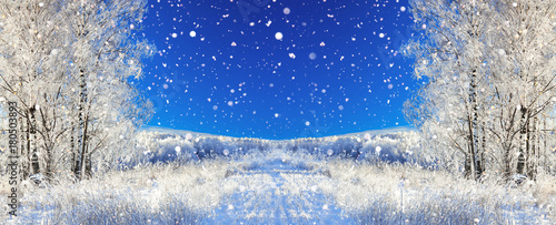 rural winter landscape a with blue sky, a field and forest