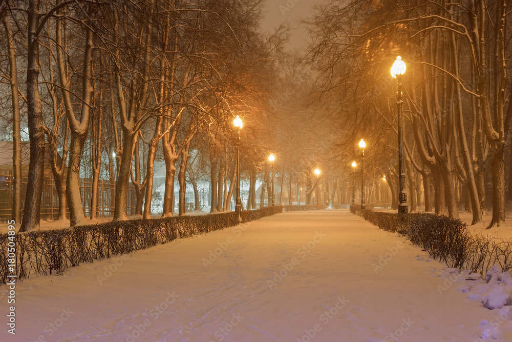 Winter evening in the park in the snowfall