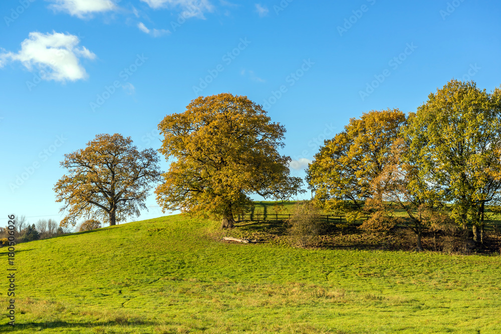 Autumn Colours