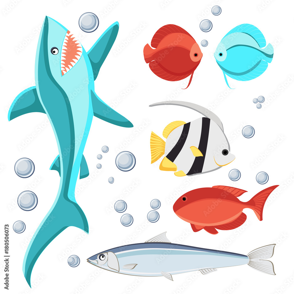 Cartoon style fish and water bubbles. Shark, sardine, discus, zebrasoma, butterfly fish, Isolated on white background. Cartoon style fish and water bubbles. Shark, sardine, discus, zebrasoma, butterfly fish, Isolated on white background.